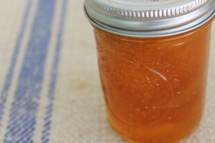apricot jam emily franklin
