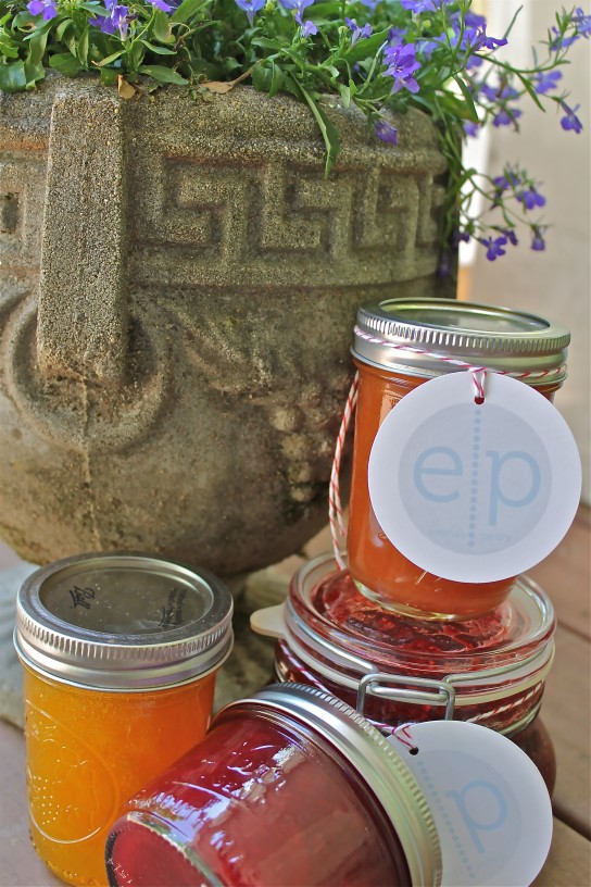 jam emily franklin