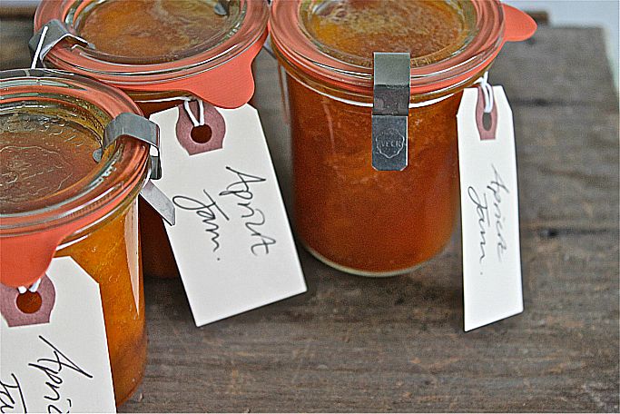 apricot jam emily franklin