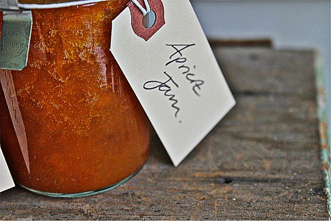 apricot jam emily franklin wellcookedlife