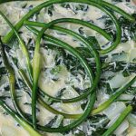 garlic onion tart with herb crust